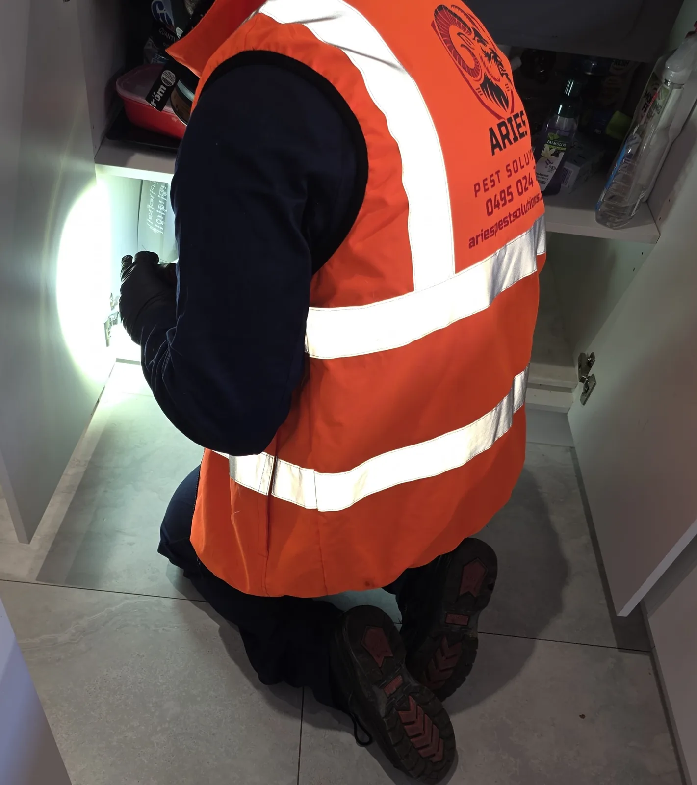 Cockroach Control Sydney