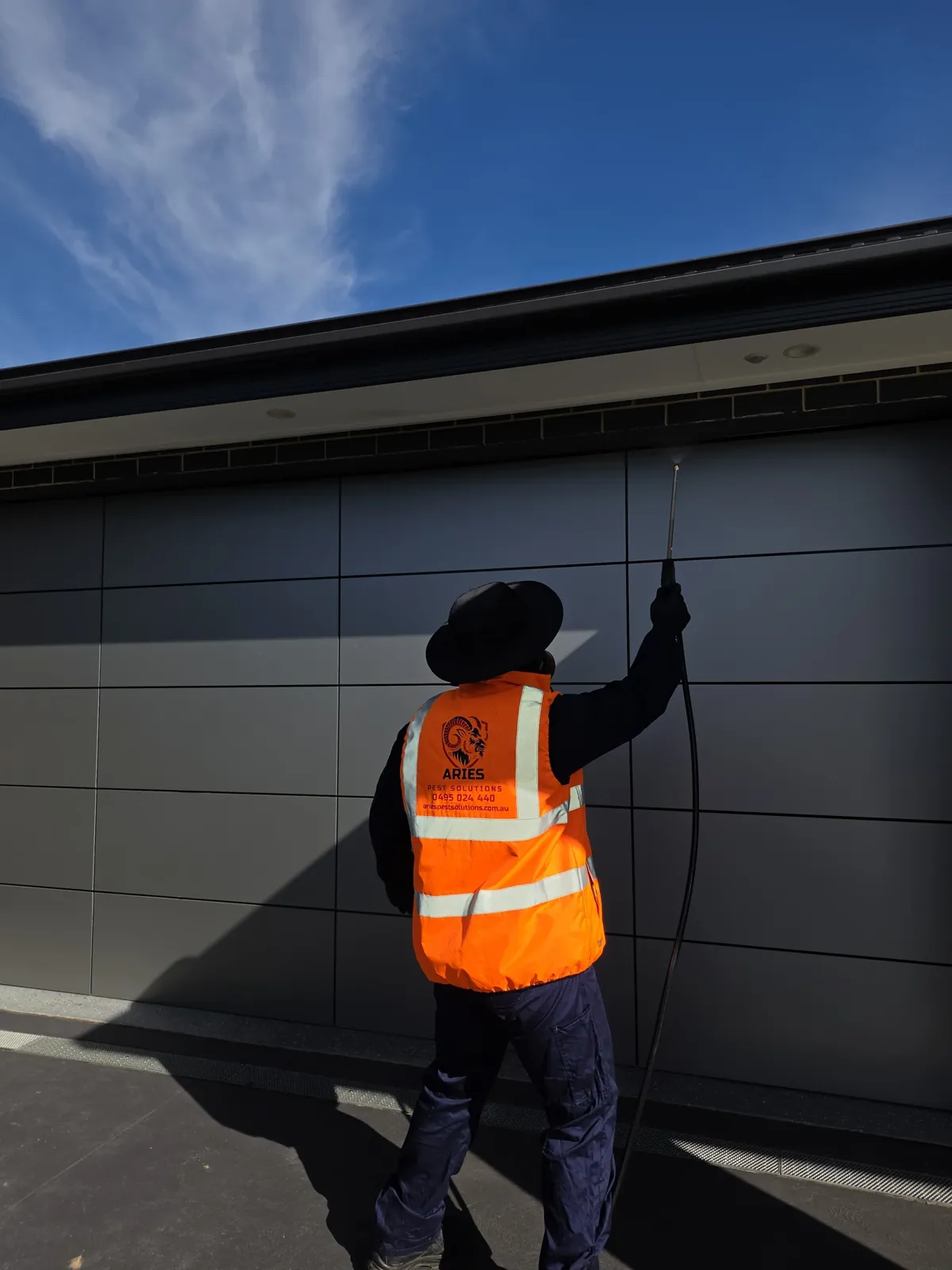 General Pest Control Sydney