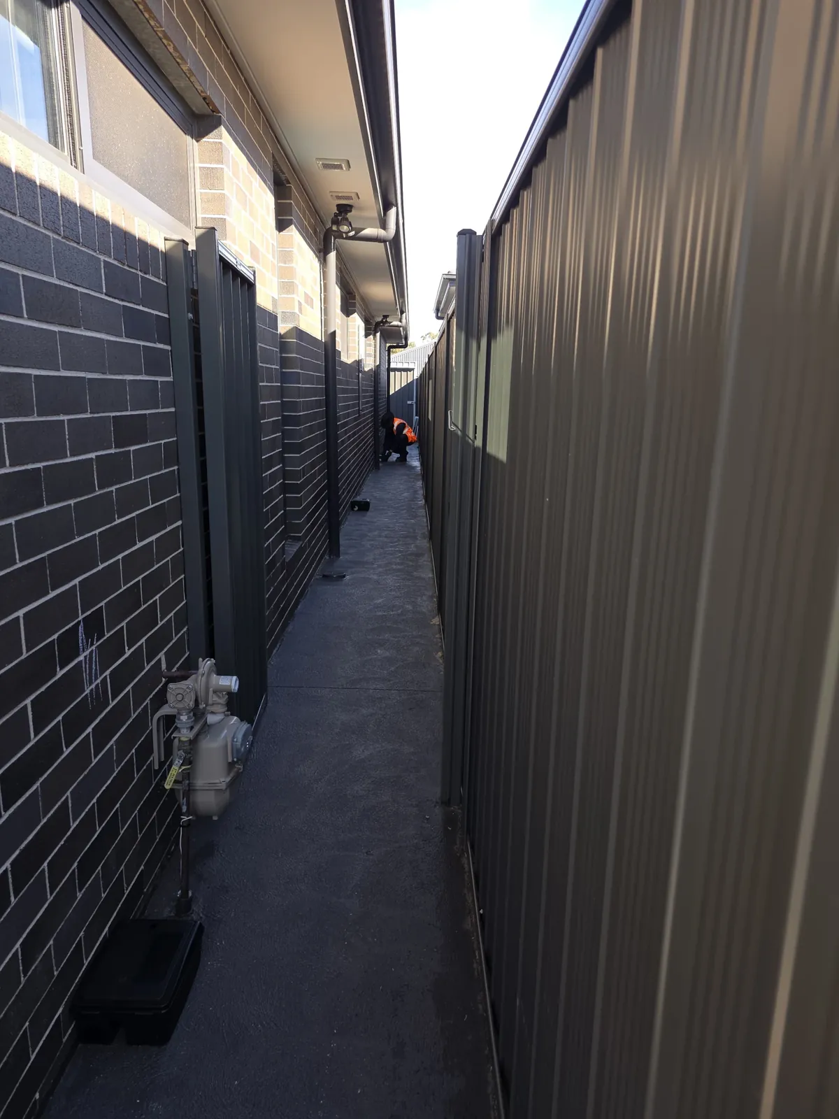 Rodent Control Sydney