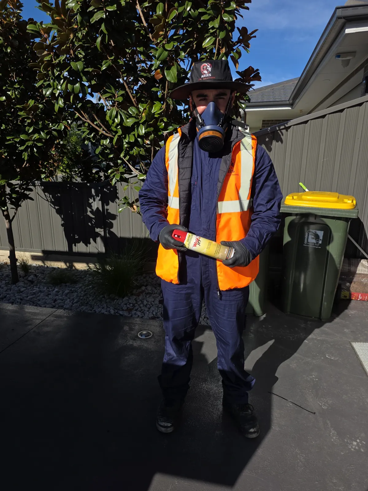 Wasp Removal Sydney